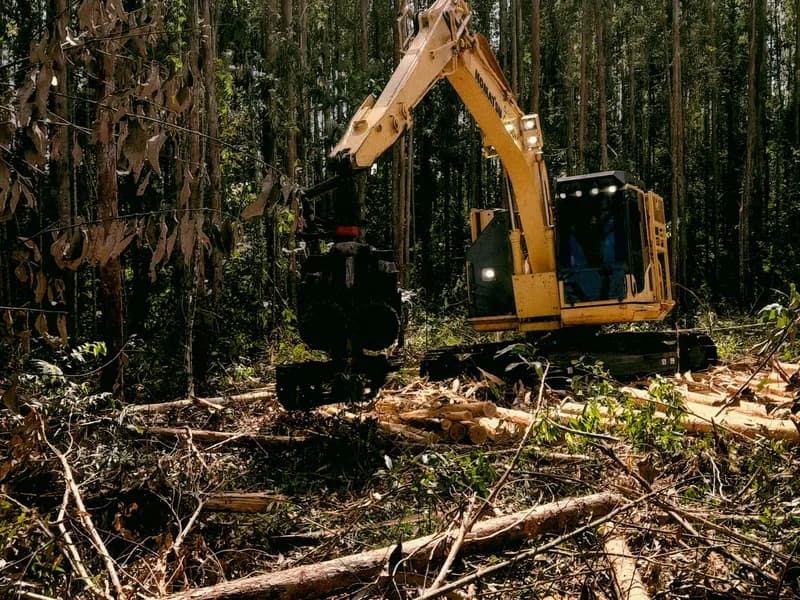 Land clearing project in Atlanta